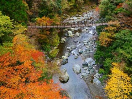 五木・五家荘の晩秋　フィールドNOW