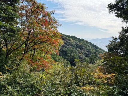 11月8日 四王寺山周回に行ってきました