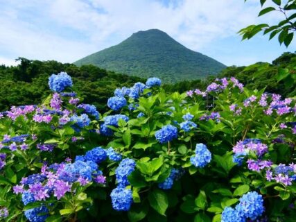 開聞岳のある絶景　フィールドNOW