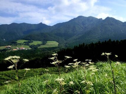 高隈山山麓　フィールドNOW